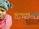 DJ REPTILE – NGAMANE NGIFE
