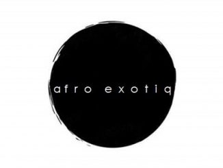 De Major, Lizwi – Traveller (Afro Exotiq’s Dub) [Bootleg]