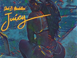 ShabZi Madallion – Juicy (Freestyle)