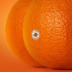 Emotional Oranges - The Juice Vol. II (2019)