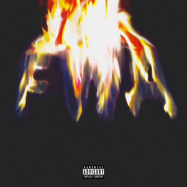 ALBUM: Lil Wayne – Fwa
