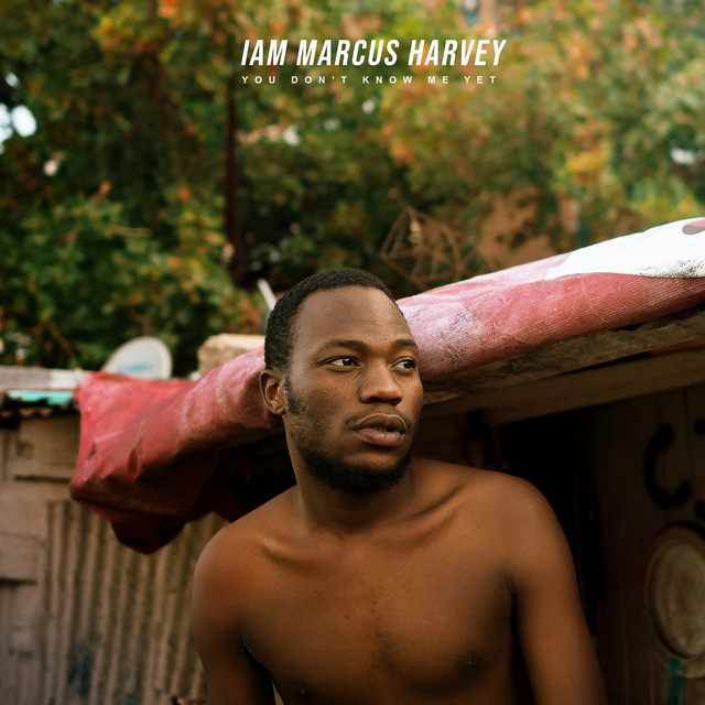Marcus Harvey - I Am Marcus Harvey