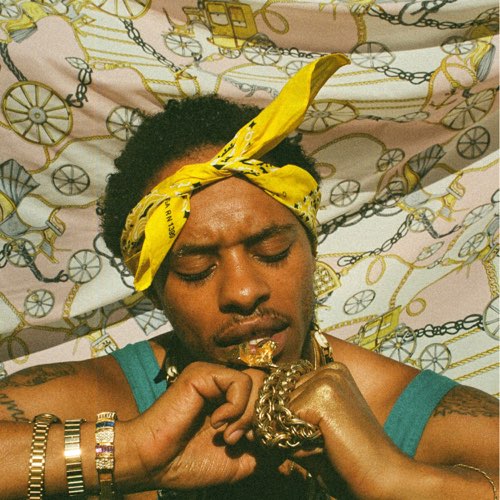 Pink Siifu - ensley