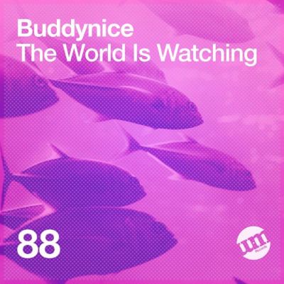 Buddynice – The World Is Watching Buddynice – The World Is Watching