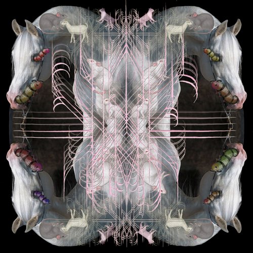 ALBUM: Eartheater - RIP Chrysalis