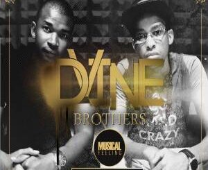 Dvine Brothers – Musical Feeling
