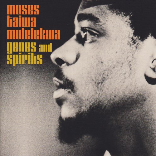 Moses Taiwa Molelekwa - Genes and Spirits