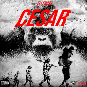 Eli Fross - CESAR