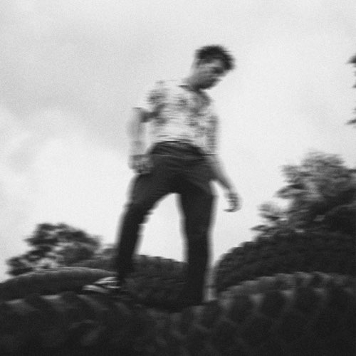 Kodamilo - In the Garden