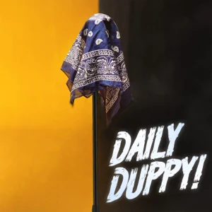 Digga D - Daily Duppy - Single