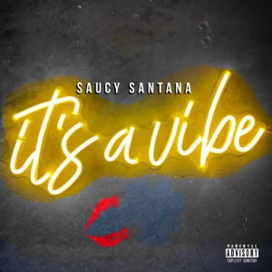Saucy Santana - It's a Vibe