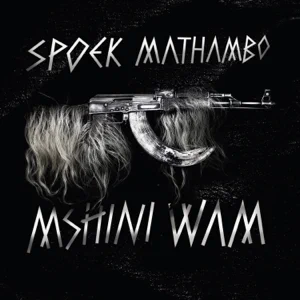 Spoek Mathambo - Mshini Wam