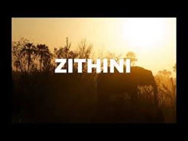 mr jazziq lady du zuma busta 929 – zithini prod. fibbs mr jazziq lady du zuma busta 929 – zithini prod. fibbs