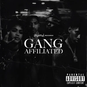 Album: YG, Day Sulan & D3szn - 4hunnid Presents: Gang Affiliated 4hunnid presents gang affiliated yg day sulan d3szn