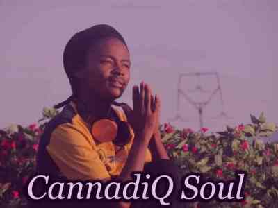 cannadiq soul – letter to kelvin momo twenty threeted mix cannadiq soul – letter to kelvin momo twenty threeted mix