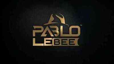 pablo le bee – 30 mins mix february editiion pablo le bee – 30 mins mix february editiion