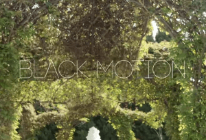 black motion – its you ft missp black motion – its you ft missp