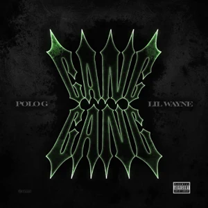 gang gang single polo g and lil wayne gang gang single polo g and lil wayne