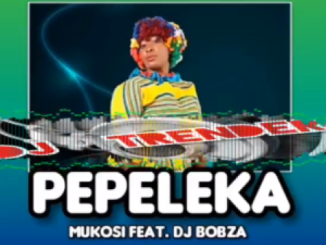 mukosi – pepeleka ft. dj bobza mukosi – pepeleka ft. dj bobza