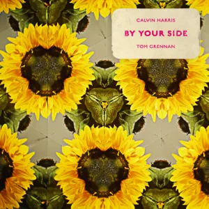 by your side feat. tom grennan single calvin harris by your side feat. tom grennan single calvin harris