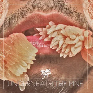 Album: Toro y Moi - Underneath the Pine toro y moi underneath the pine