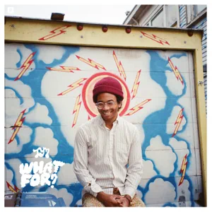 Album: Toro y Moi - What For? toro y moi what for
