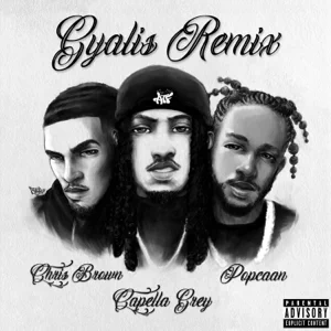 gyalis remix feat. chris brown single capella grey and popcaan gyalis remix feat. chris brown single capella grey and popcaan
