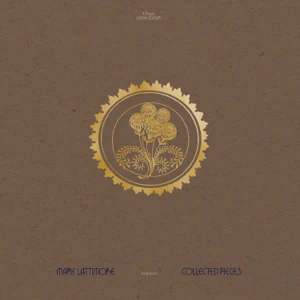 collected pieces 2015 2020 mary lattimore collected pieces 2015 2020 mary lattimore