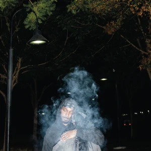 lp jpegmafia lp jpegmafia