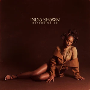 before we go india shawn before we go india shawn