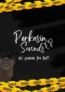 DOWNLOAD-Junior-Da-Djy-–-Infinite-Dub-Mix-–.webp