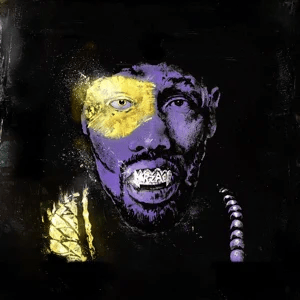 rza dj scratch saturday afternoon kung fu theater deluxe video album rza dj scratch saturday afternoon kung fu theater deluxe video album