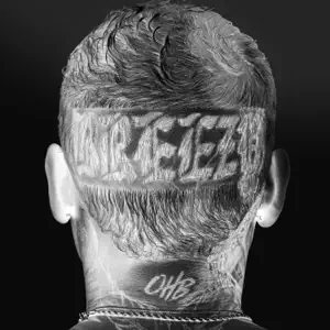 Breezy Deluxe Chris Brown Breezy Deluxe Chris Brown