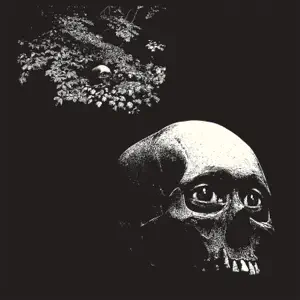 A Foul Form Thee Oh Sees A Foul Form Thee Oh Sees
