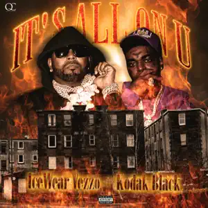 Its All on You feat. Kodak Black Single Icewear Vezzo Its All on You feat. Kodak Black Single Icewear Vezzo