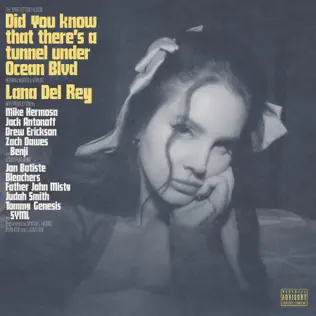 Lana Del Rey Did you know that theres a tunnel under Ocean Blvd Lana Del Rey Did you know that theres a tunnel under Ocean Blvd