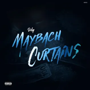 Maybach Curtains Single DDG Maybach Curtains Single DDG