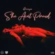 Rooga – She Aint Proud 1 Rooga – She Aint Proud 1