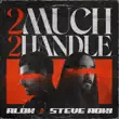 alok steve aoki – 2 much 2 handle alok steve aoki – 2 much 2 handle