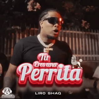 liro shaq – tu eres una perrita liro shaq – tu eres una perrita
