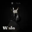Anonymous Music – Wale feat. Barry Jhay Anonymous Music – Wale feat. Barry Jhay