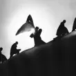 James Blake – Big Hammer James Blake – Big Hammer