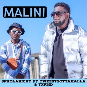 Sipho Eric Ndlovu - Malini ft. TxPMD & Tweestgottahalla
