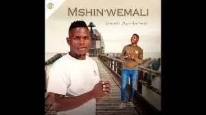 Mshinwemali – Ngicela Uhambe Ft Zothando Mshinwemali – Ngicela Uhambe Ft Zothando