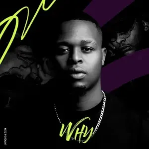 LaTique & Z.E.N - Why LaTique Z.E.N – Why