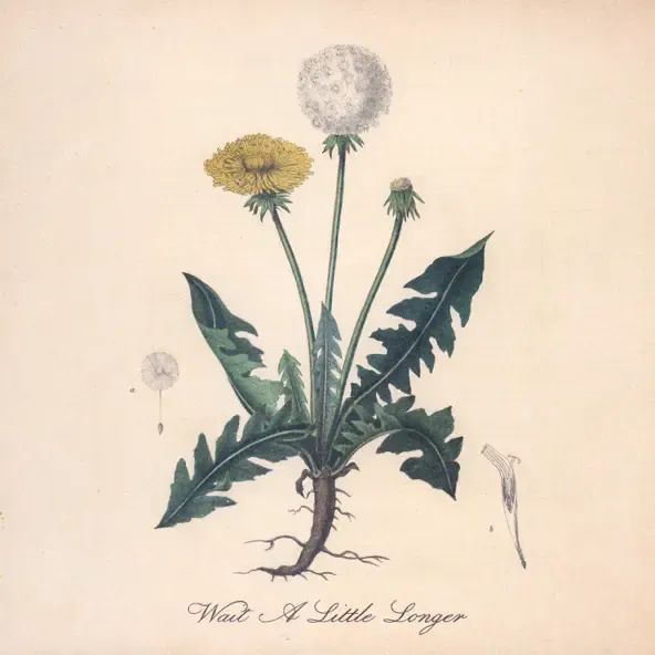 Snoh Aalegra – Wait A Little Longer Snoh Aalegra – Wait A Little Longer