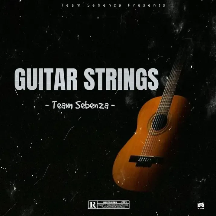 Team Sebenza – Guitar Strings Team Sebenza – Guitar Strings
