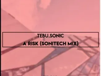 Tebu.Sonic – A Risk Sonitech Mix Tebu.Sonic – A Risk Sonitech Mix