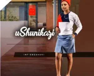 Ushunikazi – Bengamela Mina Ushunikazi – Bengamela Mina
