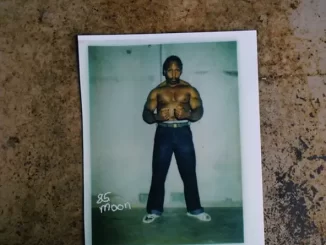 Album: T.F - Big Moon Big Moon